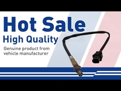 Zuurstofsensor-31293740