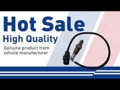 Zuurstofsensor voor Volvo