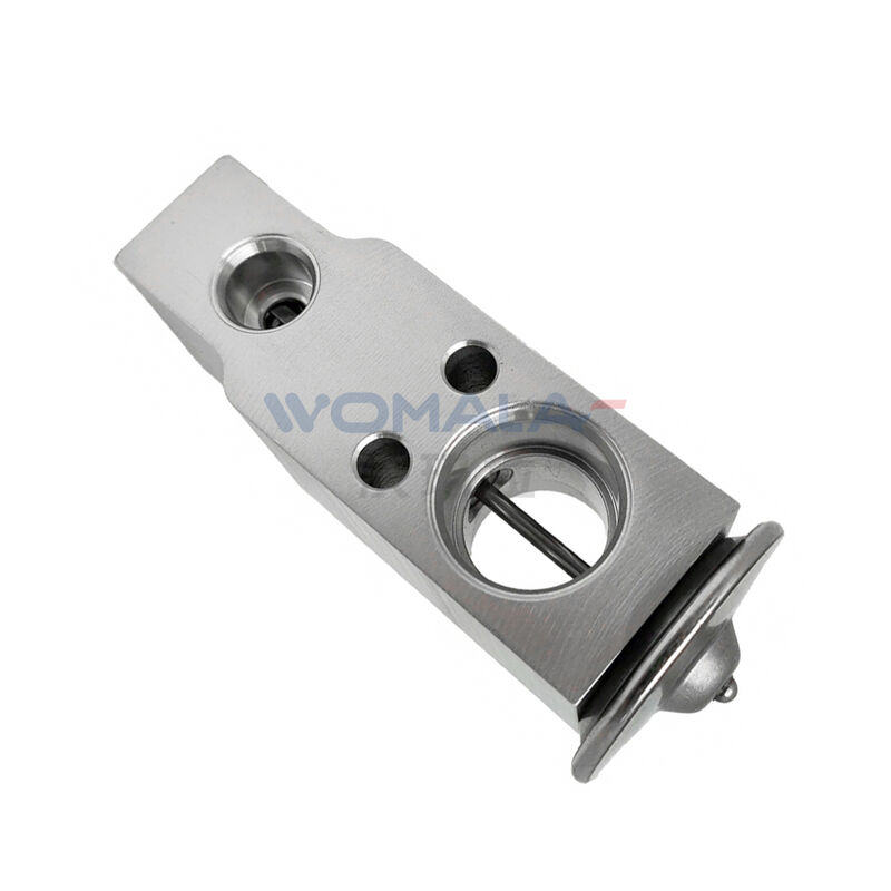 Womala A/C Expansieklep JQD500010 C2P8263 voor Jaguar XK F-Type LR3/4